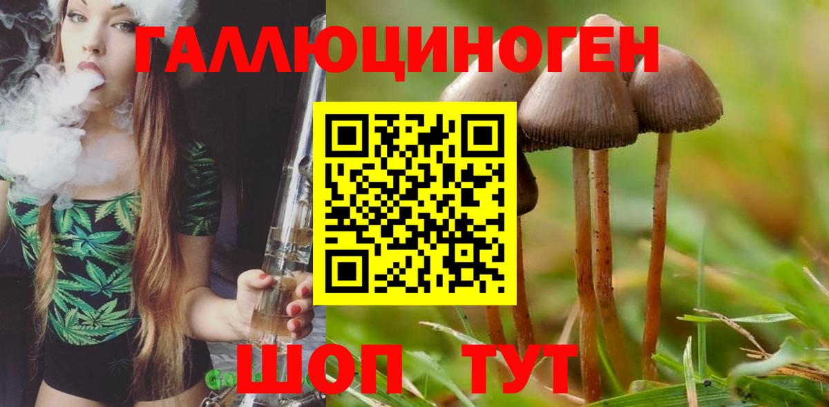 Прокопьевск  Галлюциногенные грибы прущие грибы  Галлюциногенные грибы Cubensis  Вход с VPN 